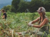 Farm Beginnings Organic Growers School