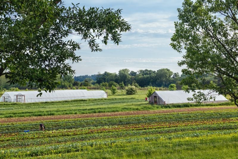 Farm Job - Farm Assistant in Alabama | Beginning Farmers