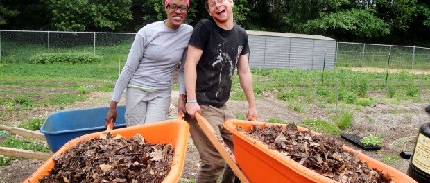 farm and compost internship