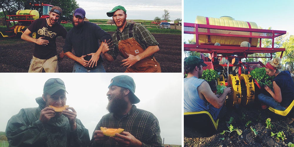 CSA Farming Internships in North Dakota | Beginning Farmers