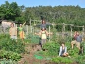 growing food, building community