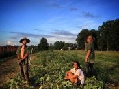 Sugar Camp Farm