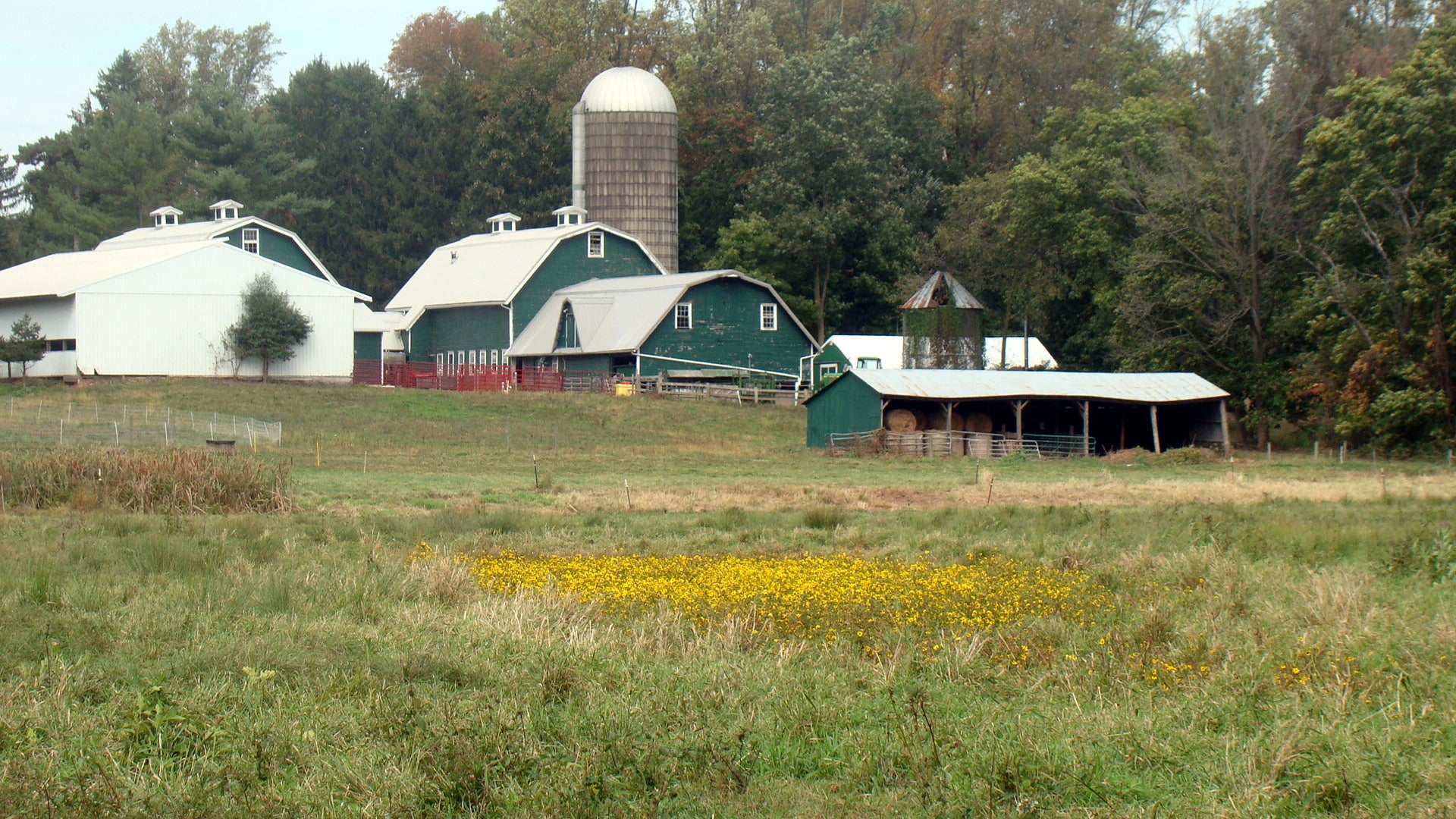 Grass Based Sustainable Creamery Internship Beginning Farmers