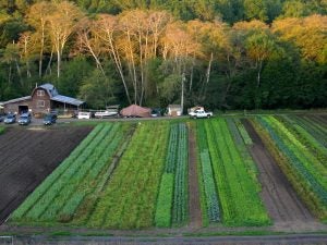 Органическая сельского. (Biodynamic Farming). Натуральное сельское хозяйство. Органическая ферма. Органическое сельское хозяйство Германии.