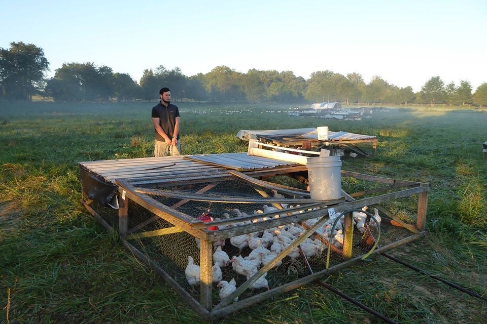 Homesteading Supplies - Whiffletree Farm