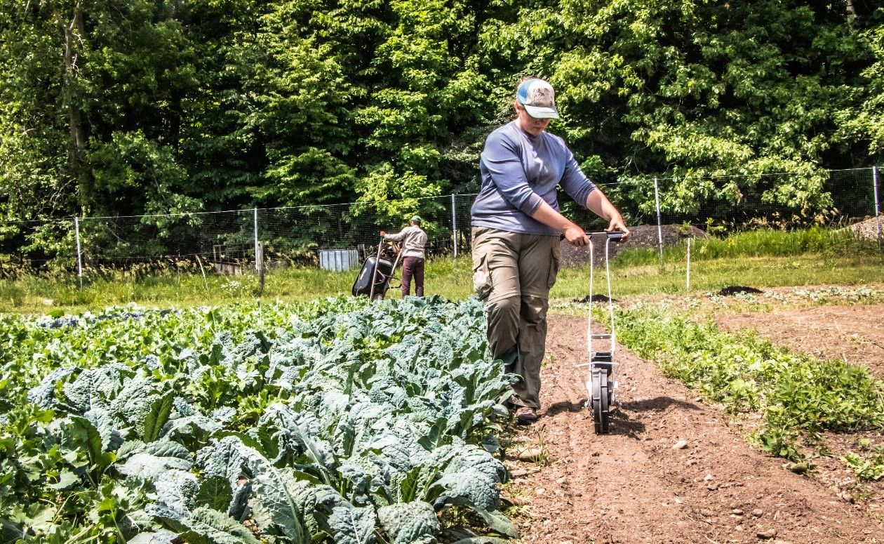 Sustainable Agriculture Apprenticeship in Michigan ...