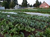 biodynamic farm apprenticeship