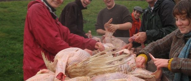 pasture-based livestock internship