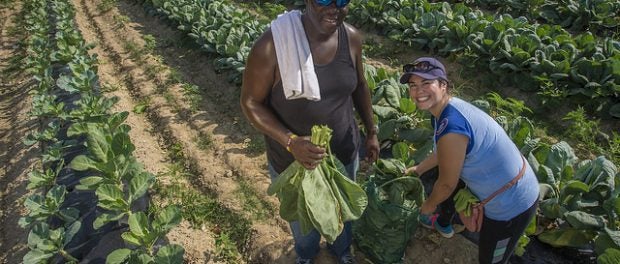 next generation in agriculture