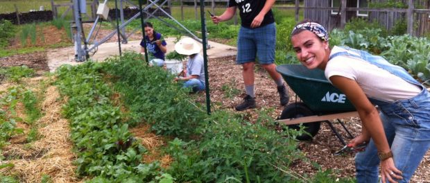 sustainable farm and food program