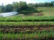 funding opportunities in sustainable agriculture