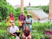 community garden