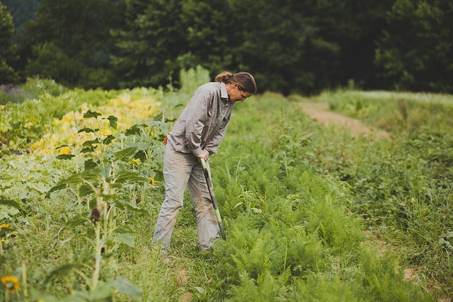 Finding Farmland Workshop in North Carolina | Beginning Farmers
