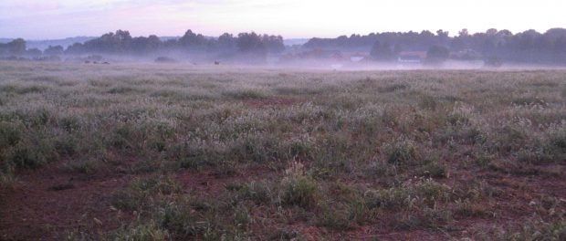 Farm Crew Member Job