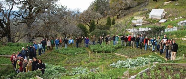 biointensive organic farmers