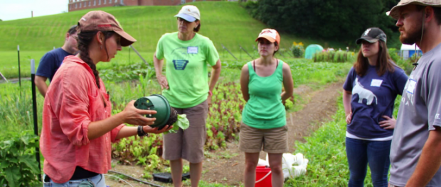 local food system fellowship