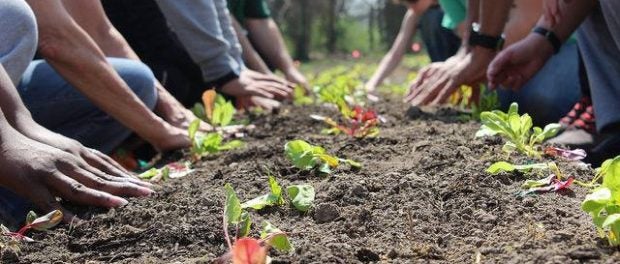 organic farm manager