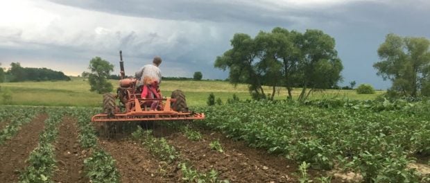 organic farm jobs in Minnesota