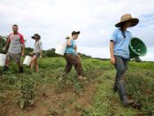 farm apprentice matching program