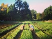 field crew and farm stand