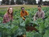 Future Organic Farmer Grant