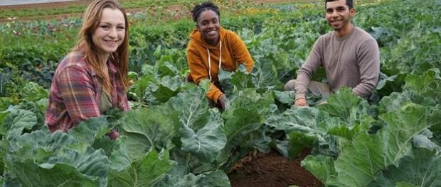 Future Organic Farmer Grant