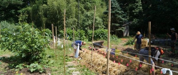 Permaculture Design Course