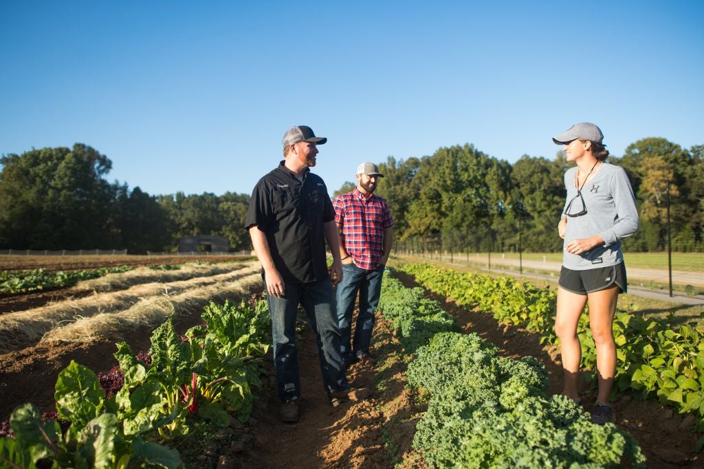 Propagation Assistant Job in South Carolina | Beginning Farmers