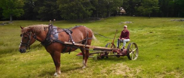 Farm Apprentice Position