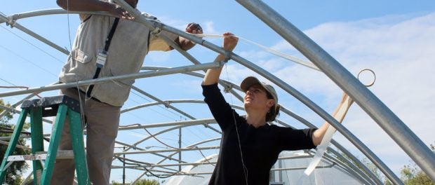 armed to urban farm