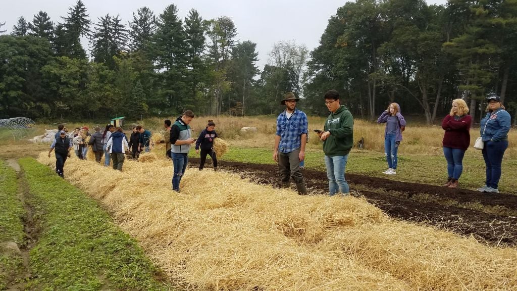 Beginning Farmer Training In New York | Beginning Farmers