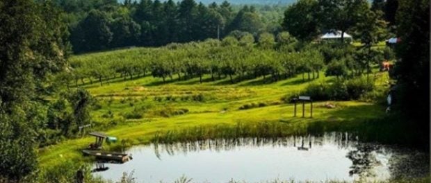 farm watering hole