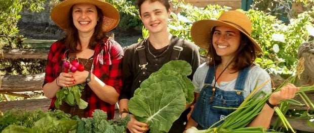 farm interns