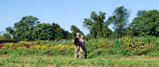 Farm Worker Opportunities in Virginia | Beginning Farmers