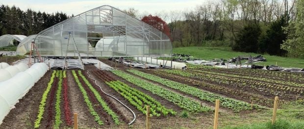 Farm Hoophouse