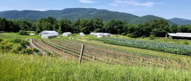 Soil Health and Climate Resiliency